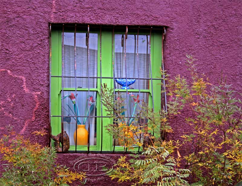 Tucson Window